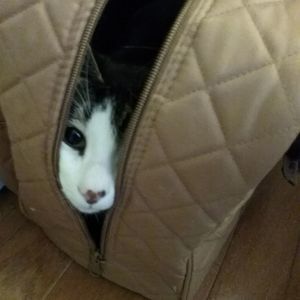 Meet your Posher, Tracie